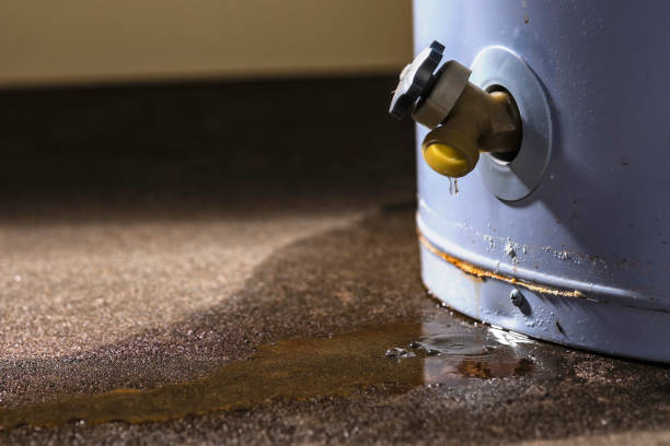 Best Water damage restoration process  in Summit, AZ