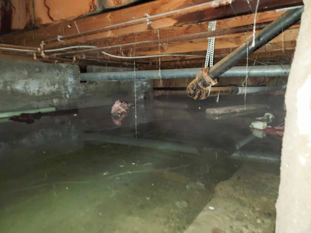 Best Emergency water extraction  in Summit, AZ