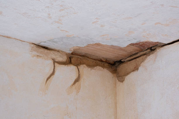 Best Emergency water damage restoration  in Summit, AZ