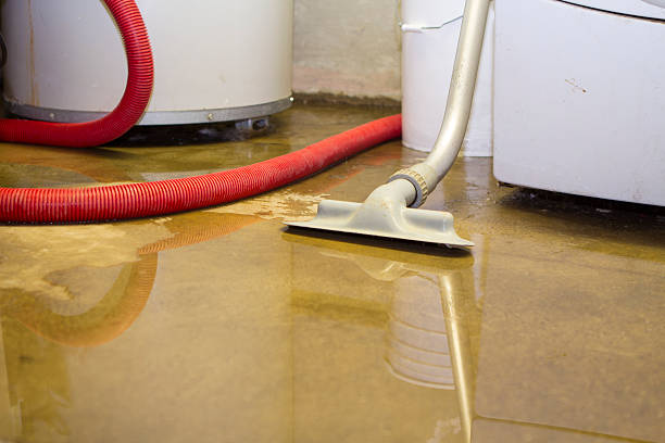 Best 24/7 water damage repair  in Summit, AZ